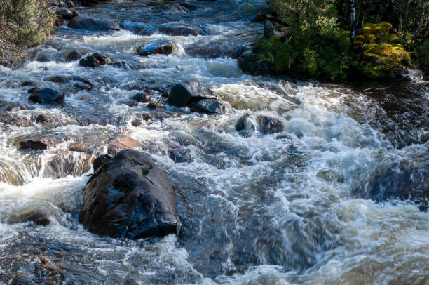 istock View along mountain stream with water running through a rocky riverbed 1423918580
