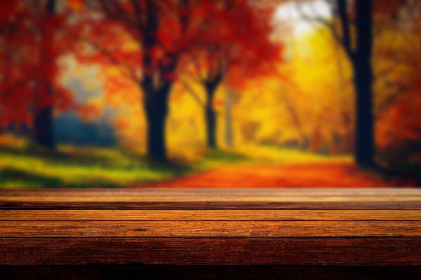 나무 테이블과 배경에 흐릿한 가을 숲, 제품 디스플레이, 음식 또는 음료 몽타주 - 가을 뉴스 사진 이미지