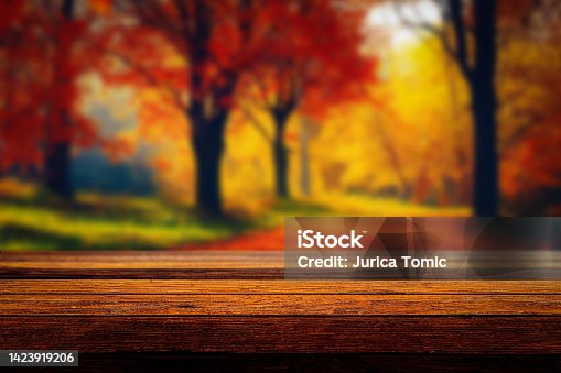 istock Wooden table and blurred autumn forest in a background, product display, food or drink montage 1423919206