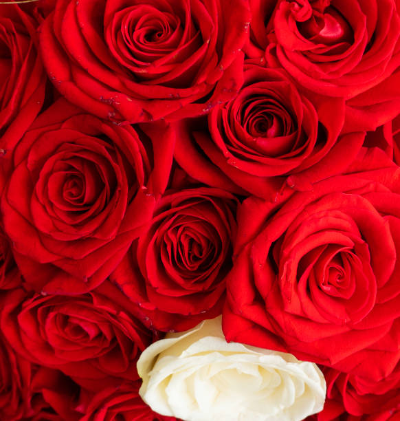 istock bouquet of red roses 1423924984
