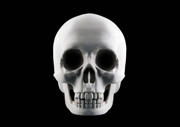 istock Human skull isolated on black background with clipping path 1423932629