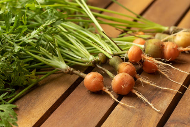 Round red-orange carrots on a wooden table. stock photo