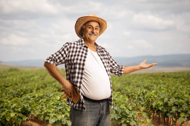 istock Smiling mature farmer showing a grapevine field 1423937094