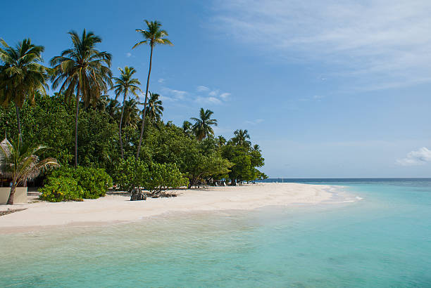 istock Tropical Island Ari Atoll, Maldives 142393824