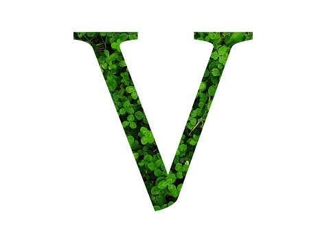 Letter V of the alphabet made with green leaf of a clover field. made with color green