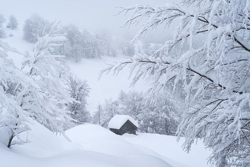 Fabulous winter view of a wooden house in a snowy mountain forest after a snowfall