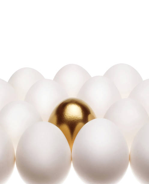 istock one gold egg lays among common white eggs 1423945790