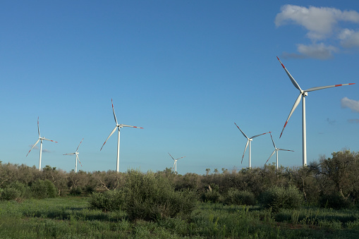Horizon with Renewable energy produced in nature with wind turbines in the Mediterranean coast - Italy