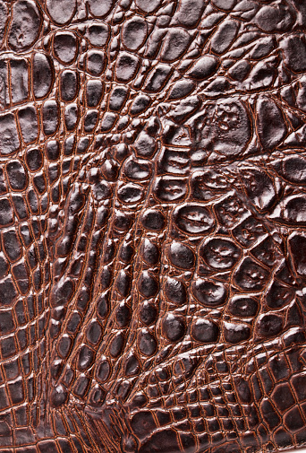 Crocodile skin texture or background