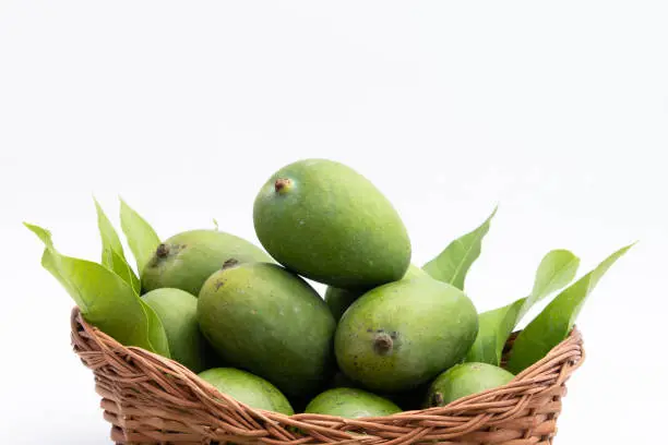 Photo of Fresh Green Raw Mango Also Called Aam, Kairi In Tradition Indian Wooden Basket Has Multiple Health Benefits, Is Rich Source Of Vitamins. Used For Chutney, Khatta Aam Panna And Aam Ka Achar Pickle