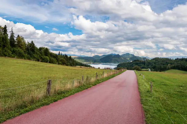 Bicycle route leading around Czorsztyn Lake - Velo Czorsztyn. View at Pieniny Mountains. Beautiful, rural, mountain landscape on summer day. Green meadow and hills covered with forest. Visit Poland.