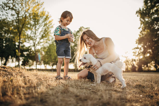 istock Mother And Daughter Having Fun While Blowing Bubbles Together and plays with dog 1423951422