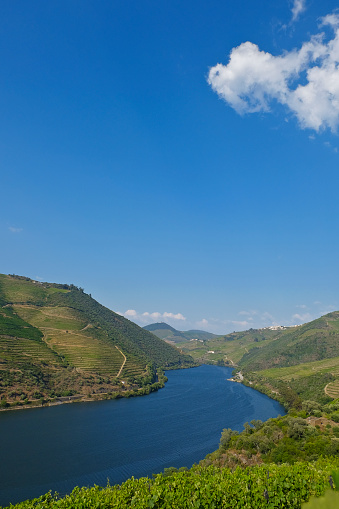 View of the famous Douro Valley in Portugal. The Alto Douro wine region is the oldest wine region in the world and has been a UNESCO World Heritage Site since 2001. This photo provides plenty of copy space for your graphic design.