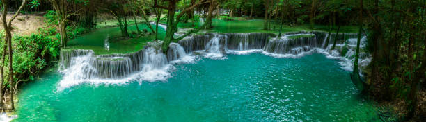 hermosa cascada y hoja hojas naturales y arroyo bosque verde en el concepto de montaña cubierta de fondo de la página de medio ambiente ecología o fondo de pantalla de la naturaleza - autumn water leaf stream fotografías e imágenes de stock