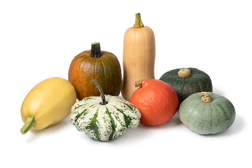 Variation of autumn pumpkins on white background isolated on white background