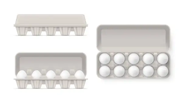 Vector illustration of White chicken eggs in open and closed package side top view set realistic vector illustration