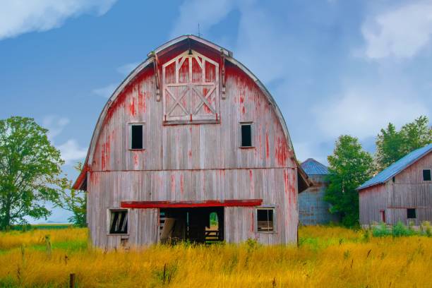 istock Old Weathered Red Barn-in early morining-Howard County, Indiana 1423959533