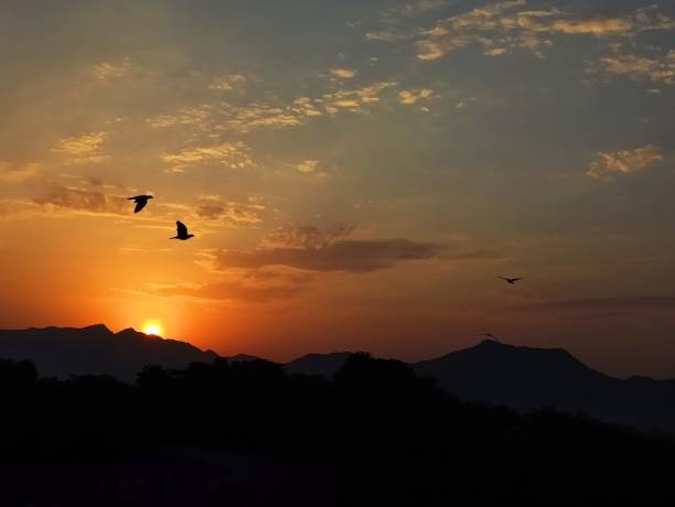 istock Morning in rajasthan 1423961089