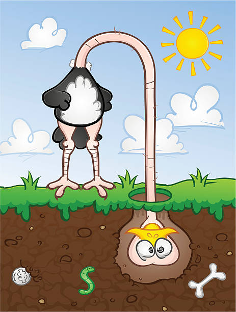 Ostrich With Head In The Ground An ostrich with it's head buried in the dirt, a real coward. head in the sand stock illustrations