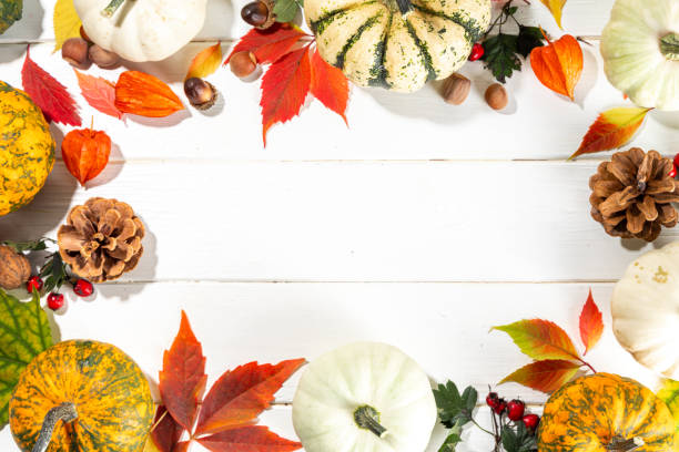 istock Autumn and Harvest background 1423963666