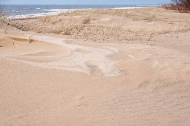 Dry grass in sandy dunes by Baltic sea. Abstract drawings in wet sand made by wind. Cloudy sky over the sea