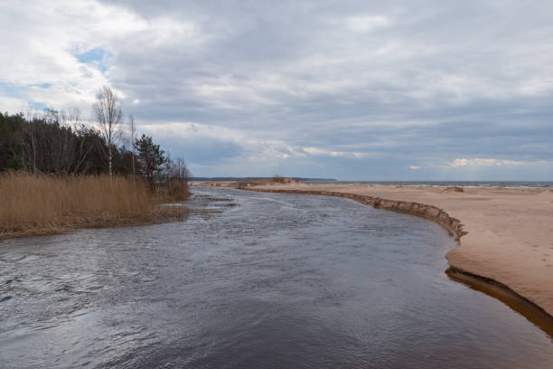 istock Small river delta among sandy dunes by Baltic sea 1423970051
