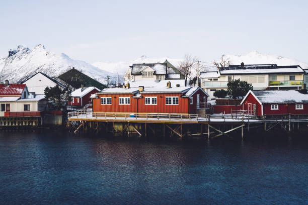 istock Small houses on shore blue fjord 1423973308