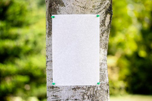 Announcement notice sign blank background pinned on a tree for message
