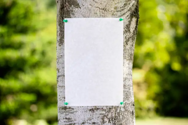 Photo of Announcement notice sign blank background pinned on a tree