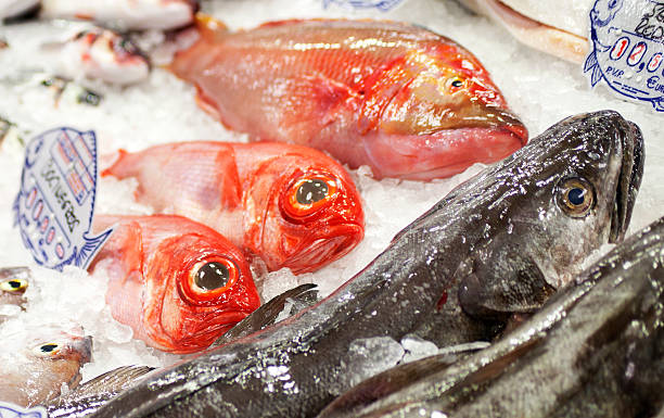 fresh Red Snapper and merluza on ice fresh Red Snapper and merluza on ice merluza stock pictures, royalty-free photos & images