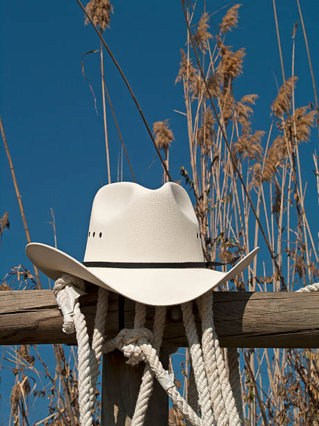 istock Cowboy hat in a fence 142398030