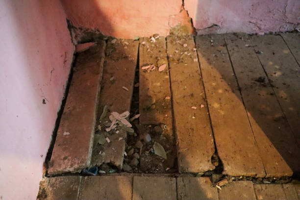 istock Old ruined wood parquetry inside old house 1423984741
