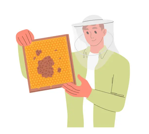 Vector illustration of Male beekeeper hold wooden frame with honeycomb.