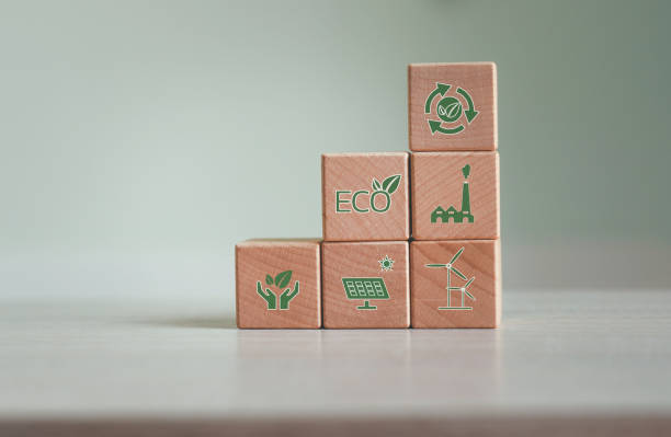 istock Pollution reduction management in the organization ,renewable energy, plant forest conservation, Concepts Governance future growth of business and environment sustainable renewable energy. 1423988566