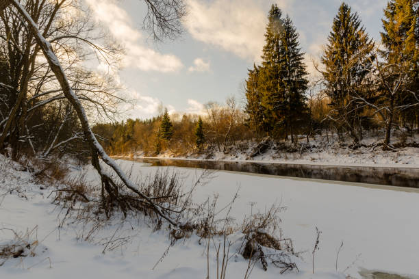 istock River extending in the winter forest. 1423988796