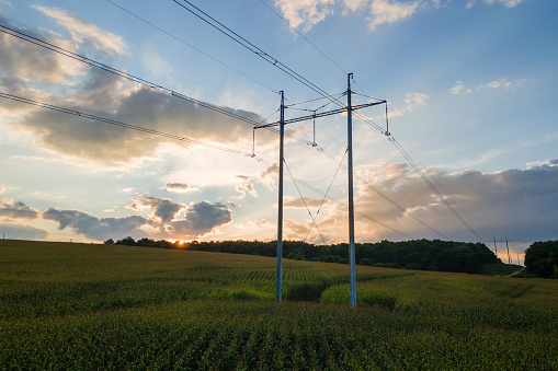 Torre con líneas eléctricas para la transferencia de electricidad de alta tensión ubicada en un campo de maíz agrícola. Entrega del concepto de energía eléctrica. photo