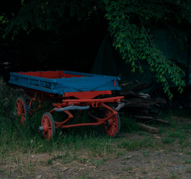 istock cart in the forest 1423992542