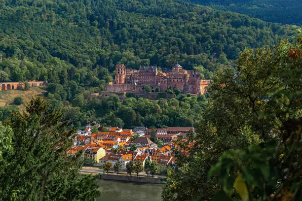 Photo of View of Heidelberg old Town, Palace and Neckar river Germany on a sunny day