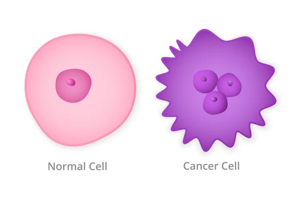 정상 및 암 세포 - blood cell anemia cell structure red blood cell stock illustrations