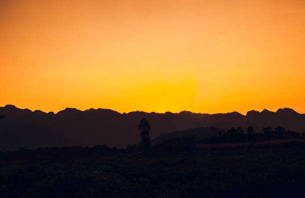 istock Mountain valley during sunrise sunset natural summer landscape nature background 1423994886