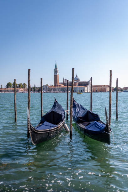 istock Venetian gondolas in Venice. 1423995720