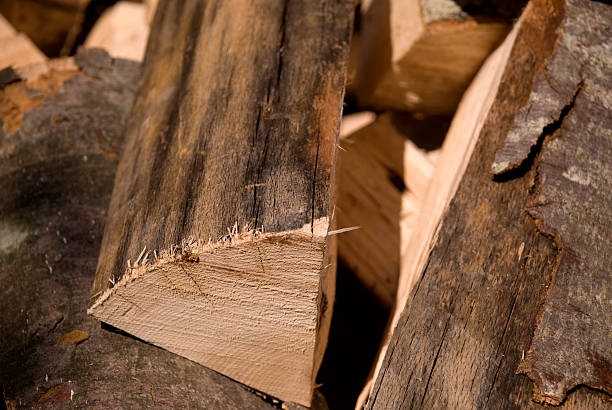 istock Lof of firewood 142400571