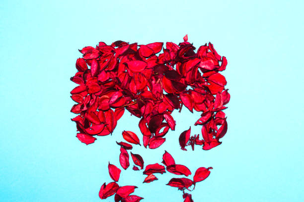 potpourri card dispersed on a blue background, creative art autumn romantic design, flat lay