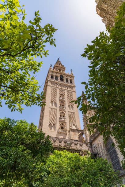 istock Seville Cathedral tower 1424012269