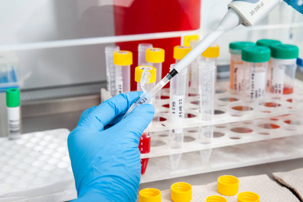 istock Scientist preparing blood samples for karyotipe and fluorescence in situ hybridization in the  laminar air flow cabinet. Blood sample preparation for diagnosis. Blood test. 1424013158