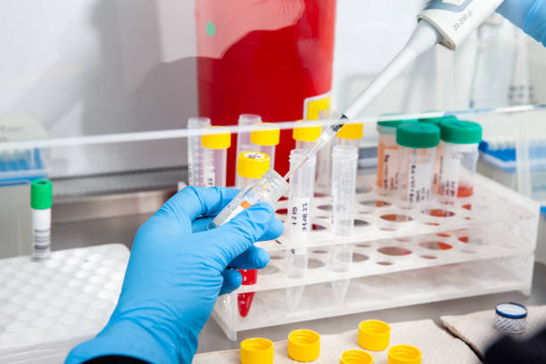 istock Scientist preparing blood samples for karyotipe and fluorescence in situ hybridization in the  laminar air flow cabinet. Blood sample preparation for diagnosis. Blood test. 1424013185