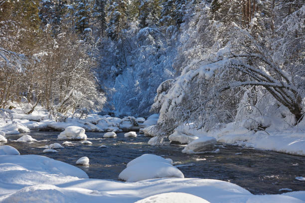 istock Winter landscape of cold mountain river 1424014648