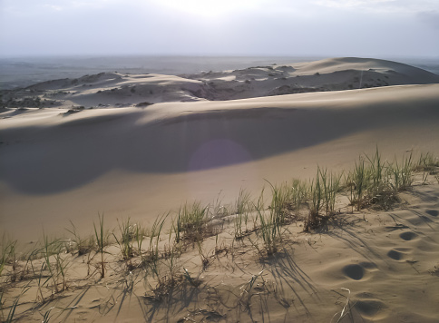 The sandy hills of the dune and dune Sarykum are illuminated by the dawn sun, small low vegetation breaks through the sand