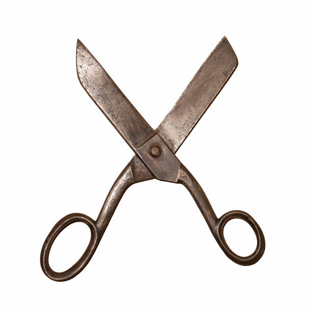 istock Old brutal scissors. The surface is covered with rust. Isolated on white background. 1424031320