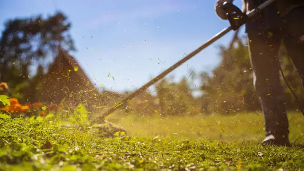 Man mowing tall grass with electric or petrol lawn trimmer in backyard. Gardening care tools and equipment. Process of lawn trimming with hand mower.